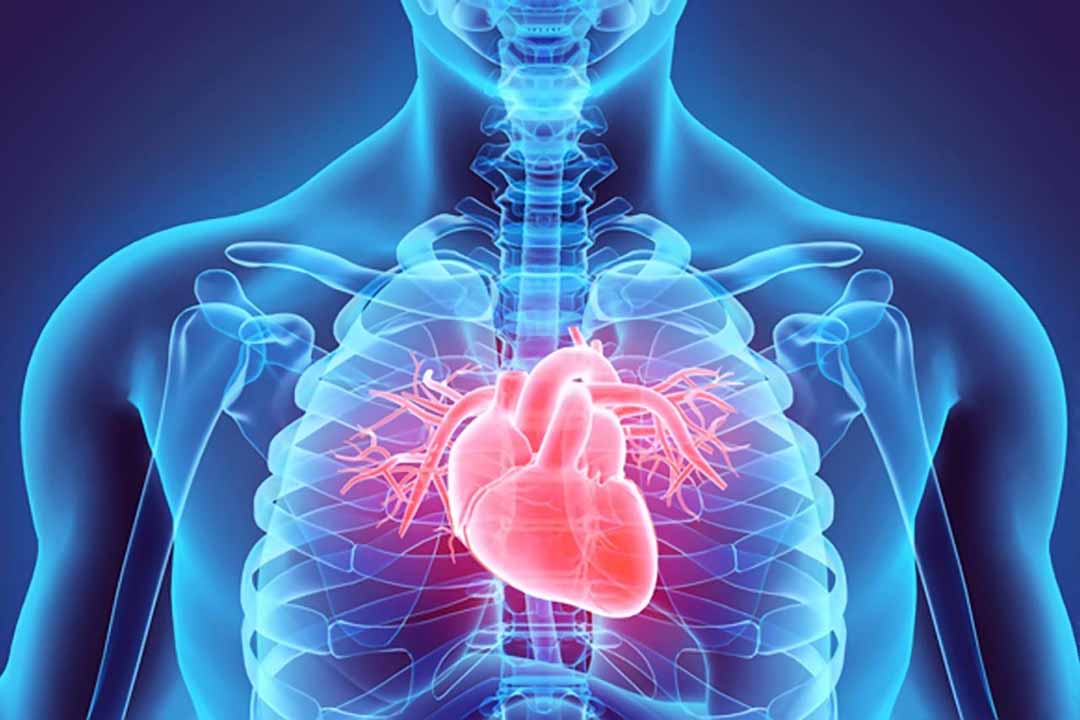 công cụ có thể áp dụng cho cộng hưởng từ MR với tim